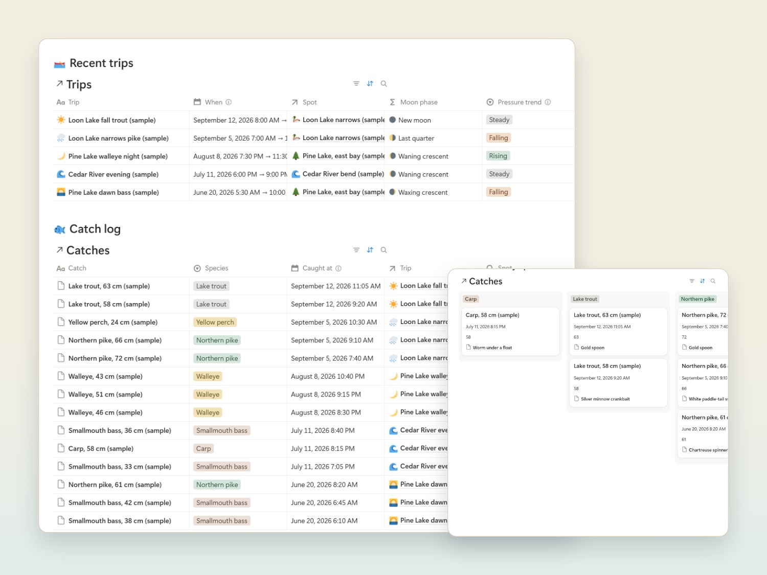 The Trips and Catches databases in Notion, with a board of catches by species
